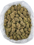 Candy Jack
