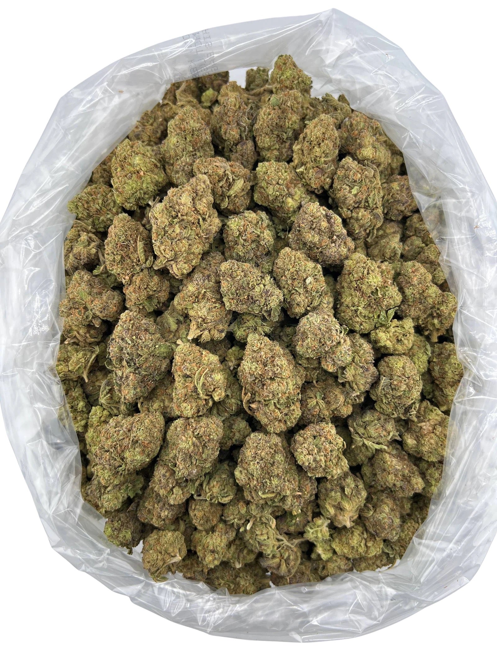 Candy Jack