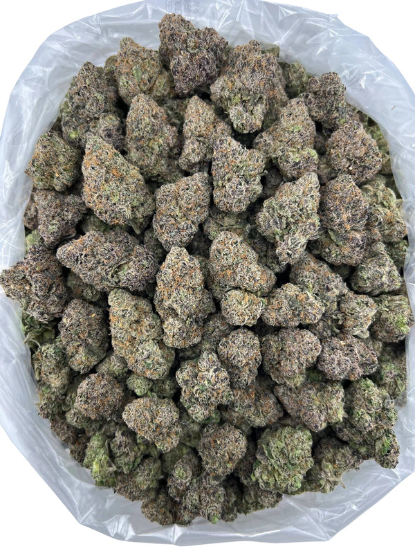 GL Obama Runtz Candy