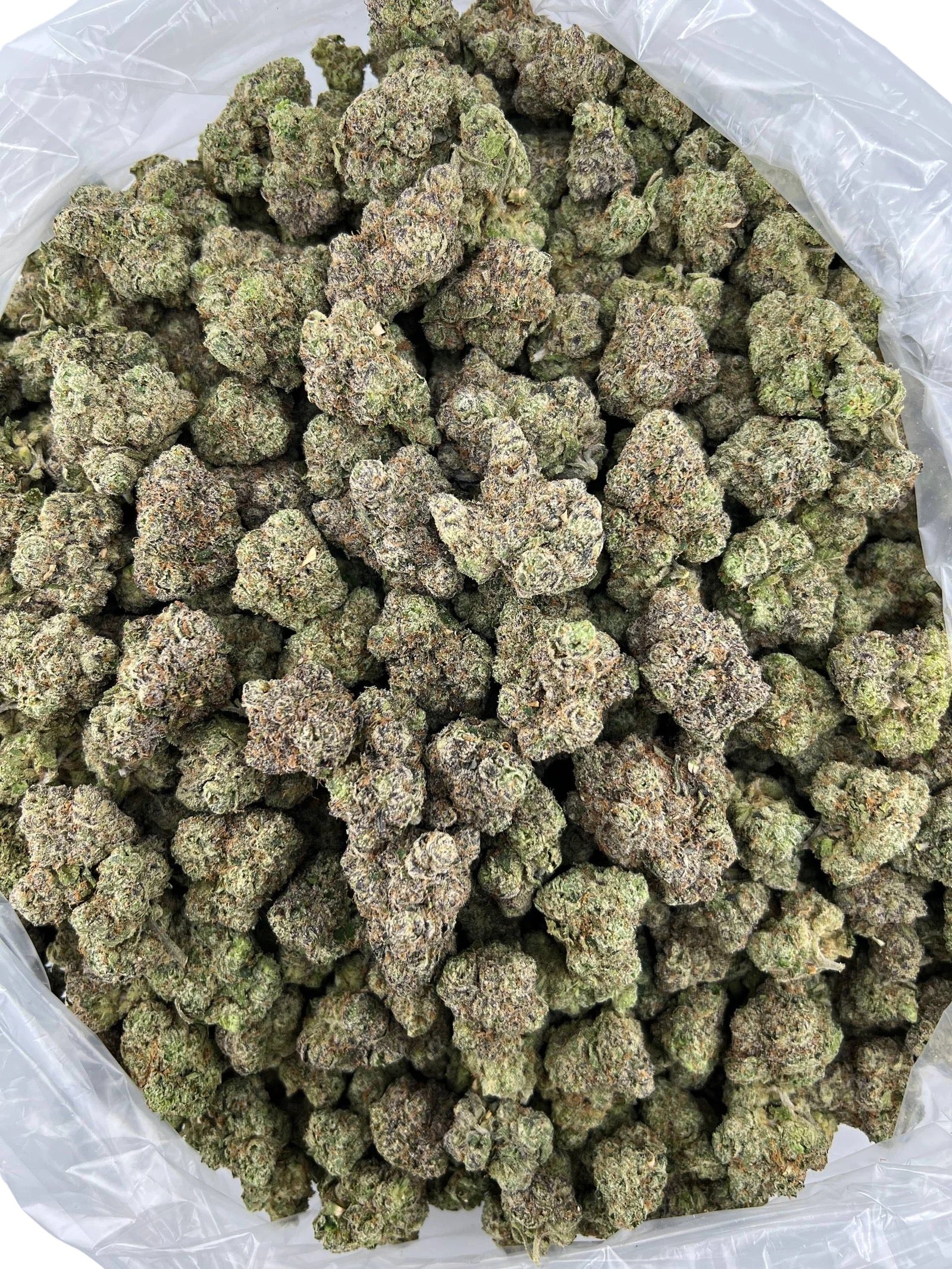 GL Runtz x Zkittlez