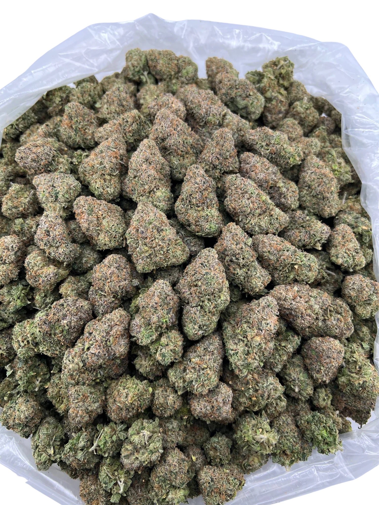 Jolly Rancher
