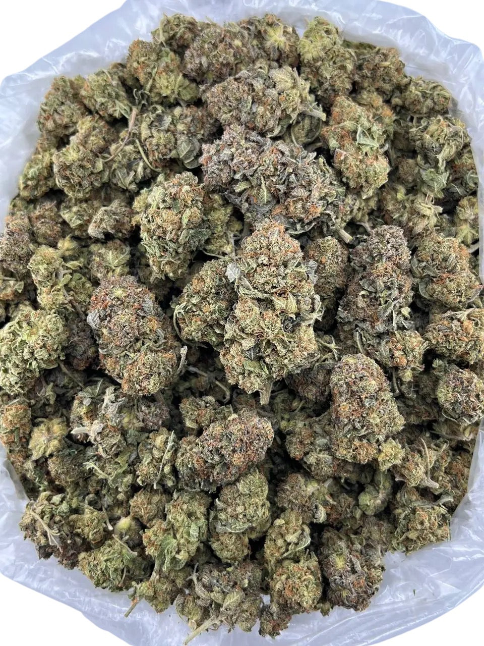 Purple Bubba