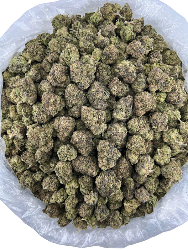 Gelato Breath
