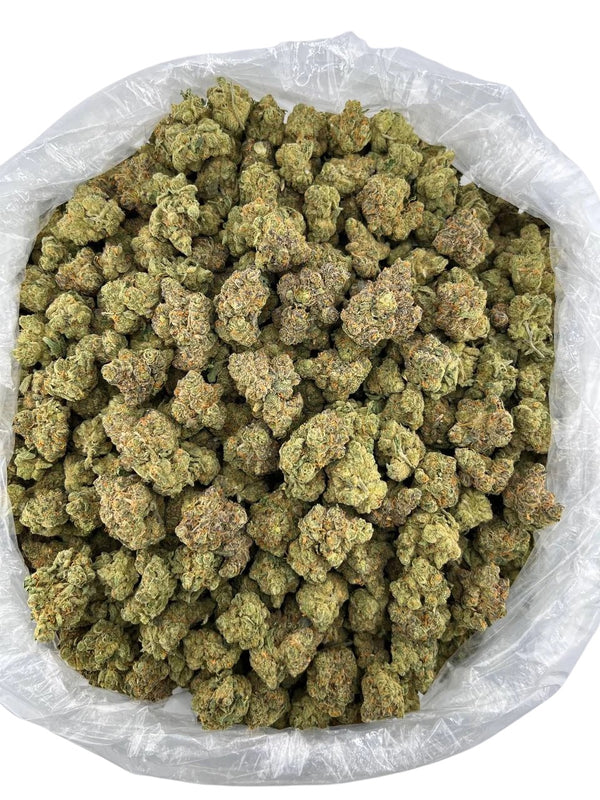 Candy Diesel (Holiday Special)