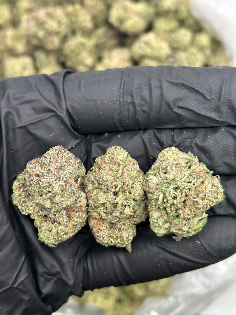 Bubblegum Runtz 🍬