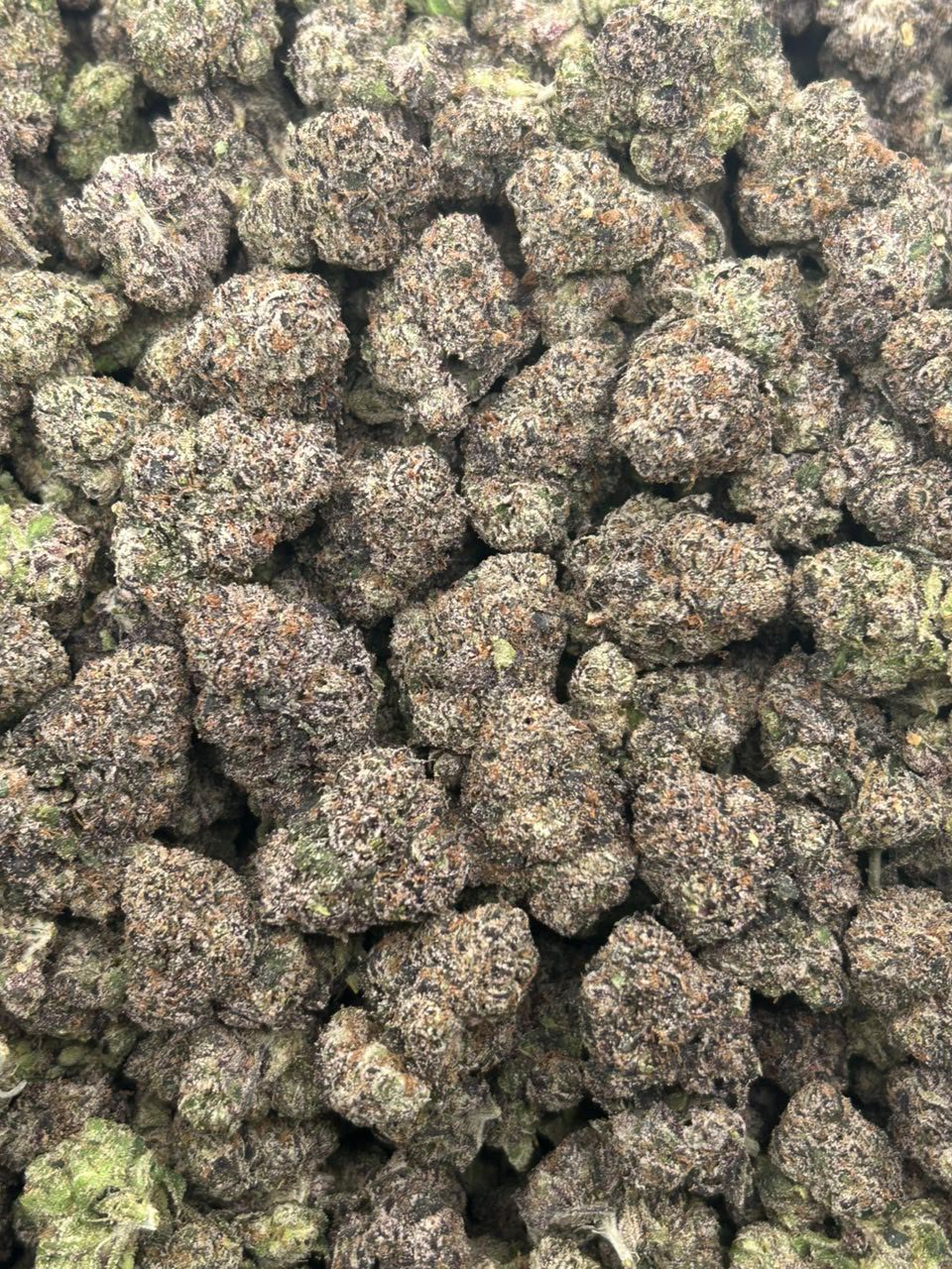Crazy Runtz 🍬