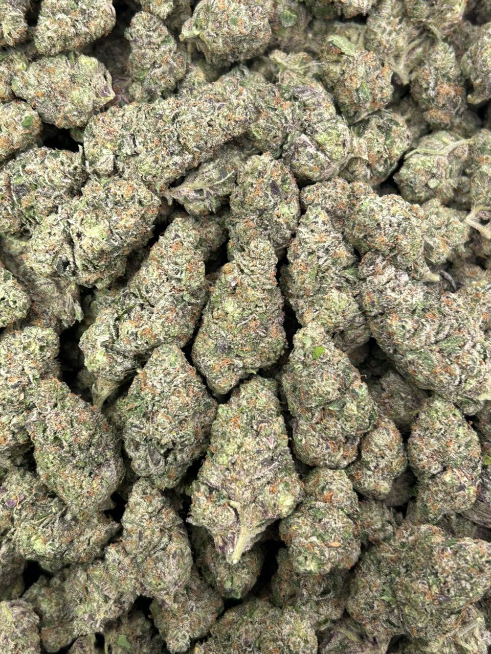 Berry Blizzard
