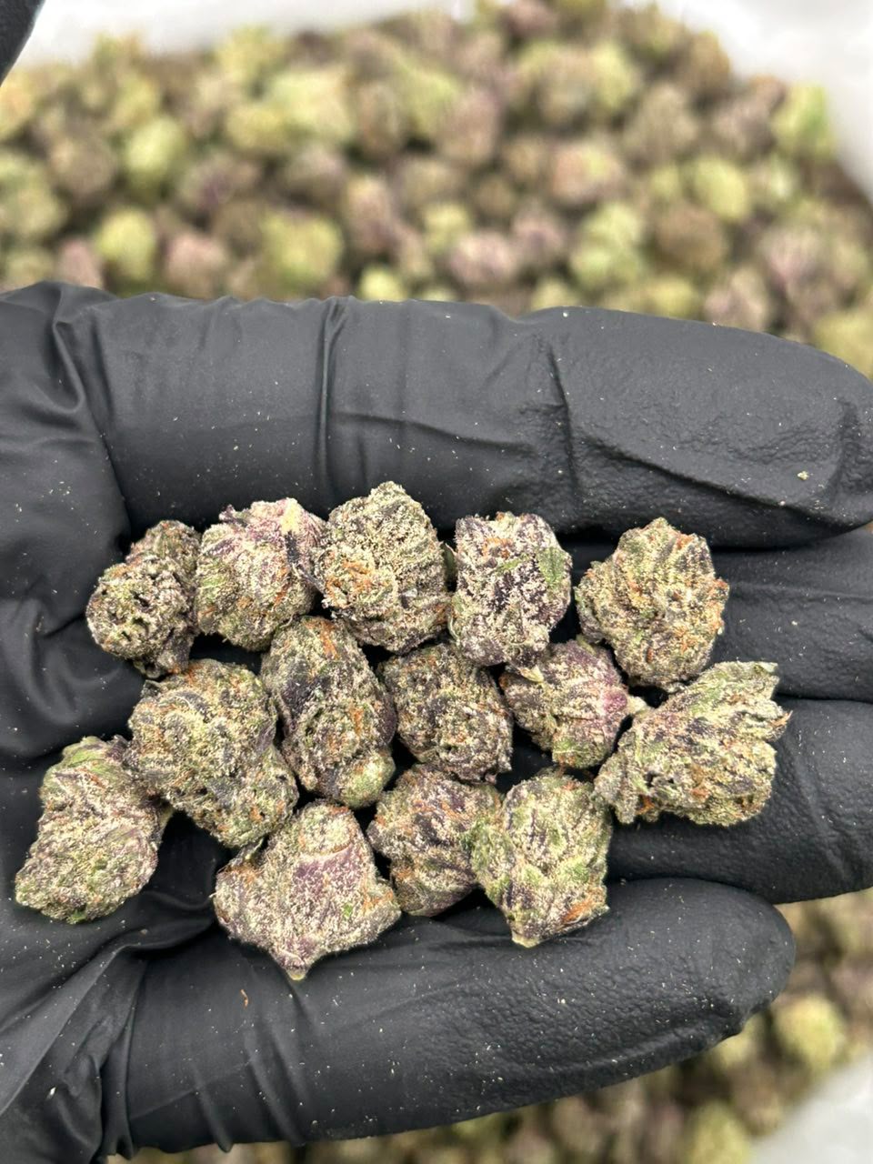 Lemon Cherry Poppers 🍬