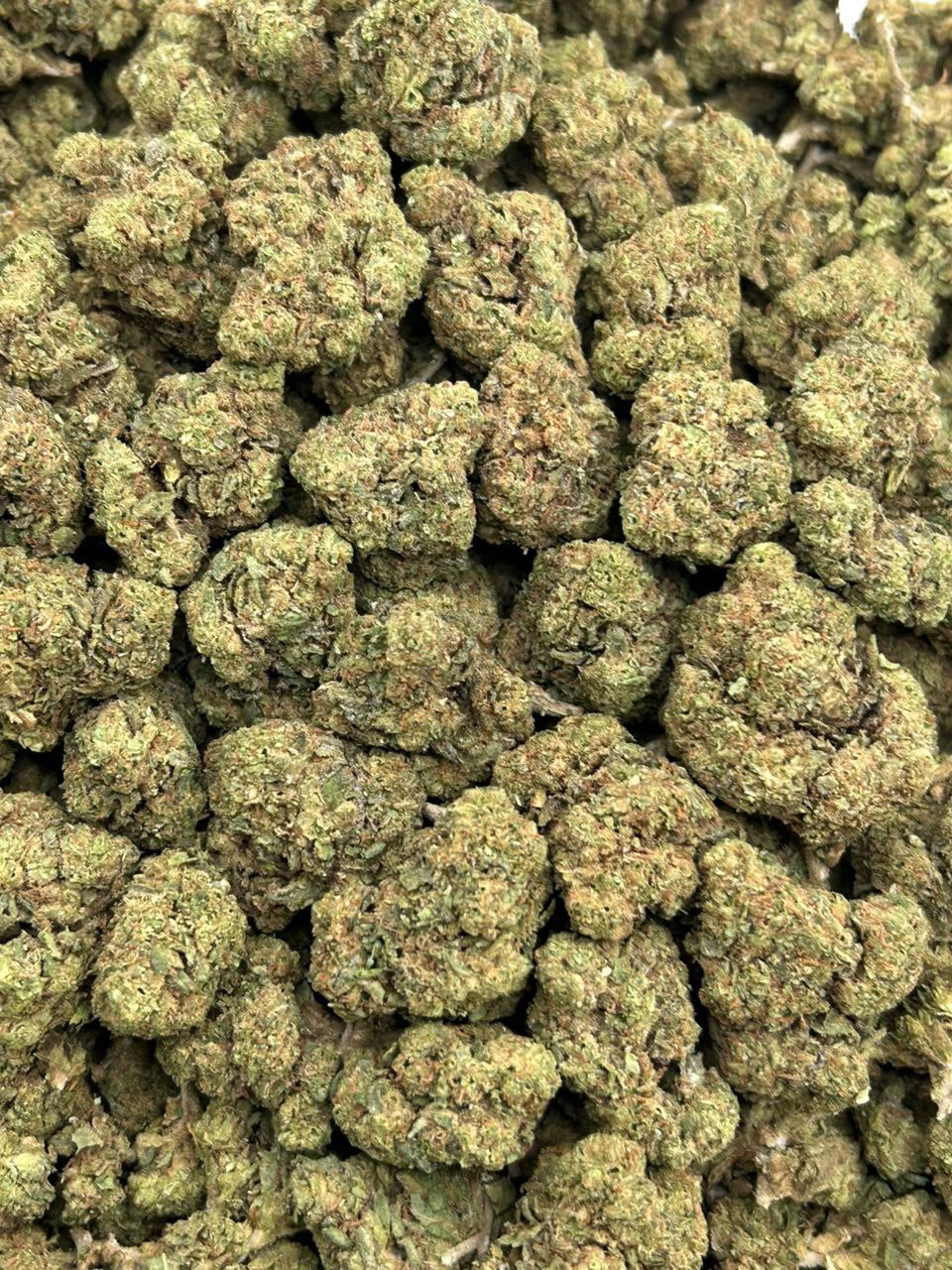 Candy Gas 33 🍬