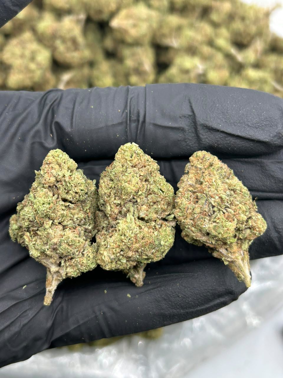 Candy Gas 33 🍬