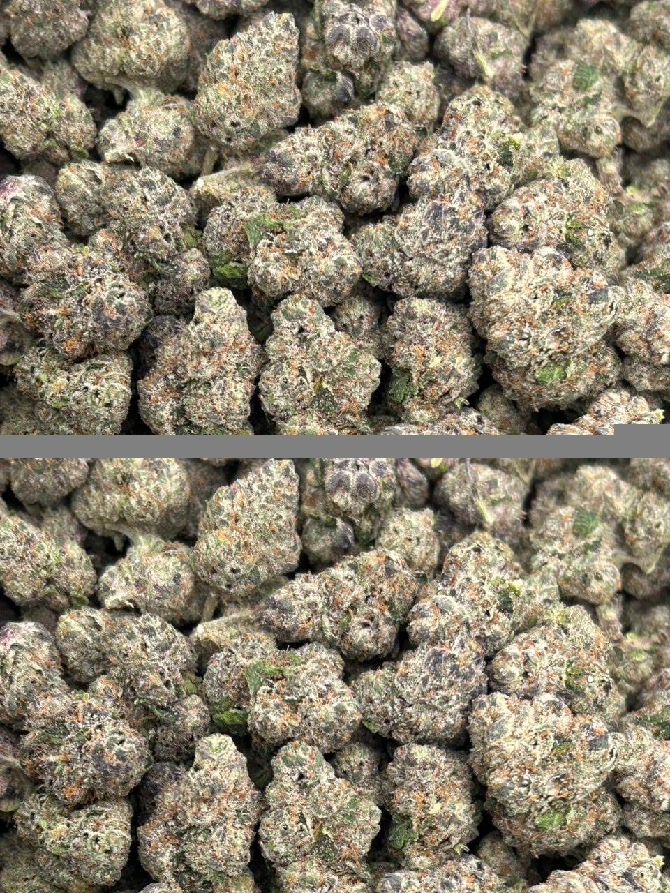 Purple Sugar 🍭
