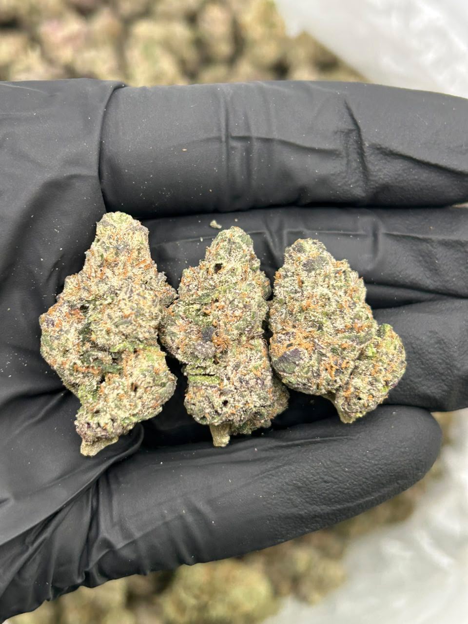 Purple Sugar 🍭